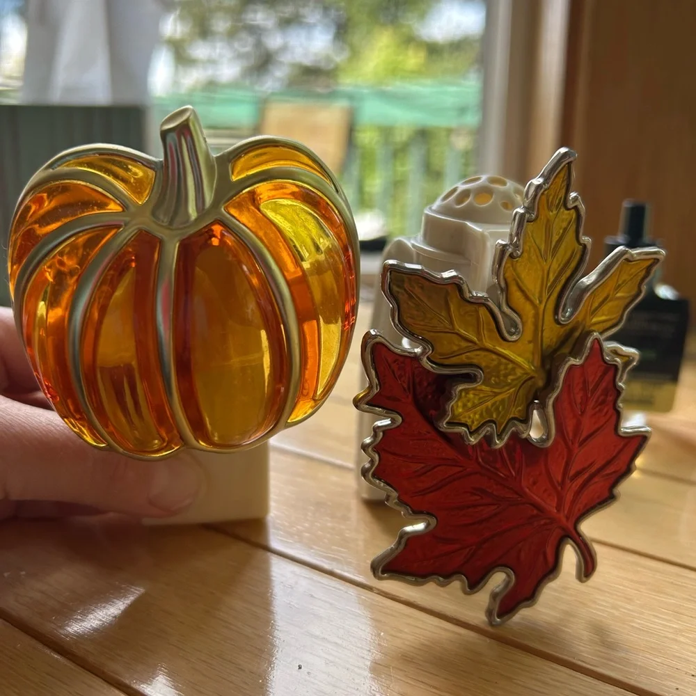 Awesome Autumn 🍂 Bath & Body Works Autumn wallflowers, candles and plug-ins - Picture 2 of 11